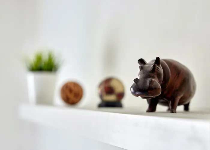 公寓 Pikachu's Gallery - Historical Old Town 布拉迪斯拉发