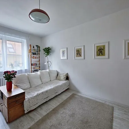 Pikachu's Gallery - Historical Old Town 布拉迪斯拉发