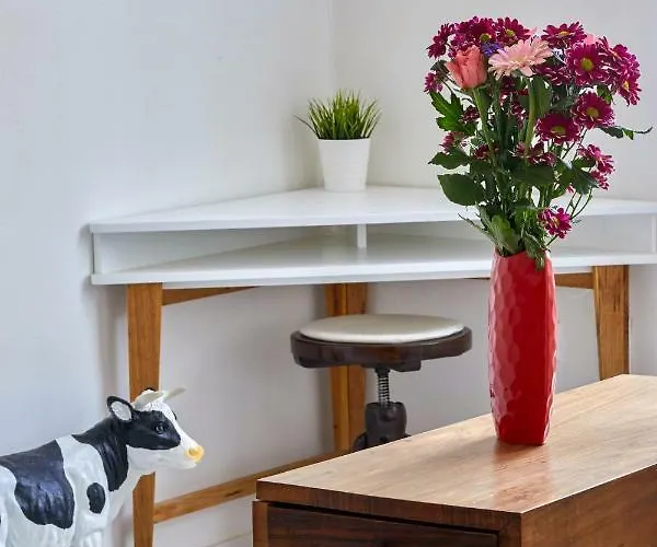 شقة Pikachu's Gallery - Historical Old Town براتسيلافا