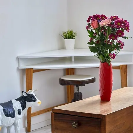 Apartamento Pikachu's Gallery - Historical Old Town Bratislava